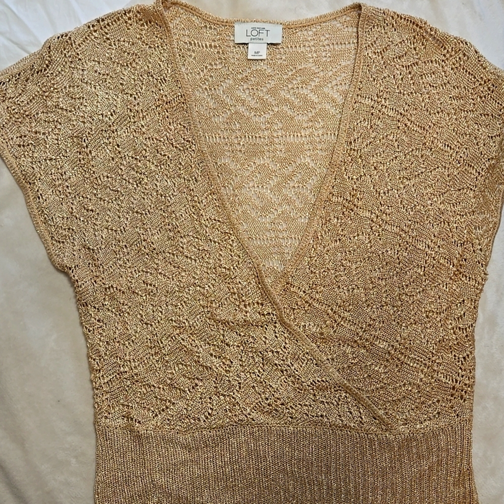 Ann Taylor Petites